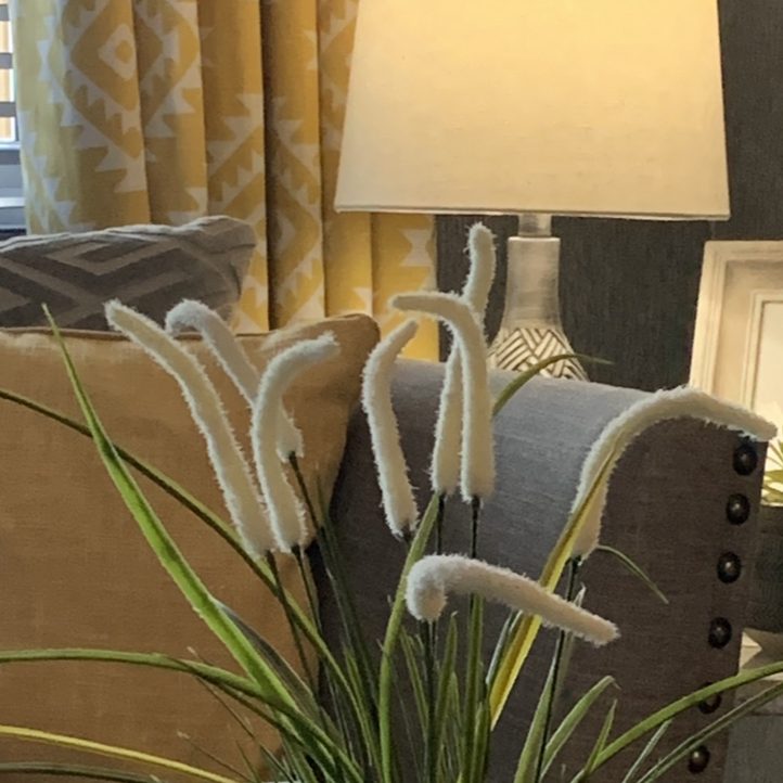 This image has an empty alt attribute; its file name is IMG_2777.jpg